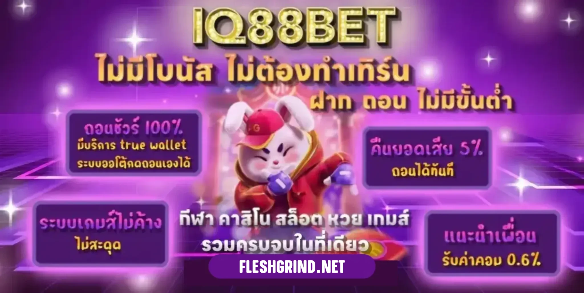 iq88bet banner